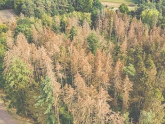 explora-el-bosc-i-el-canvi-climtic-copia-trans.jpg explora-el-bosc-i-el-canvi-climtic-copia-trans.jpg