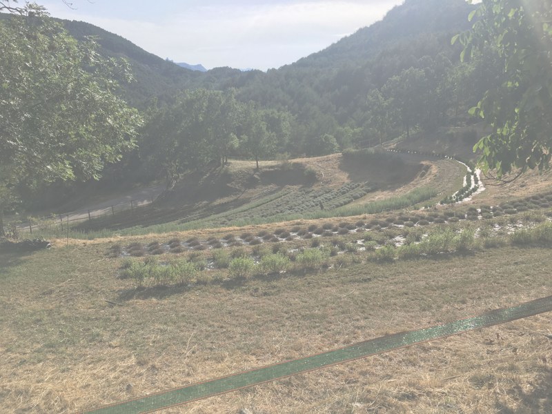 explora_recursosnaturals.jpg explora_recursosnaturals.jpg